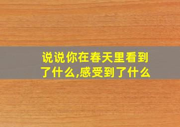 说说你在春天里看到了什么,感受到了什么