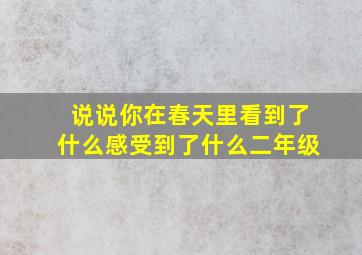 说说你在春天里看到了什么感受到了什么二年级