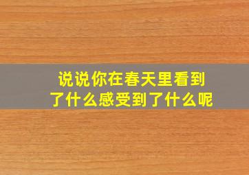 说说你在春天里看到了什么感受到了什么呢