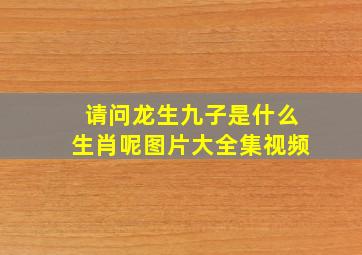 请问龙生九子是什么生肖呢图片大全集视频