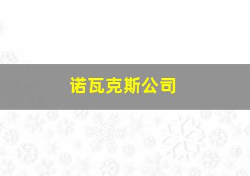 诺瓦克斯公司