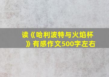 读《哈利波特与火焰杯》有感作文500字左右