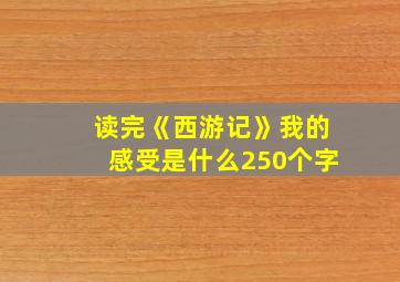 读完《西游记》我的感受是什么250个字