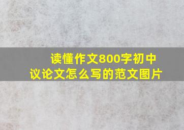 读懂作文800字初中议论文怎么写的范文图片