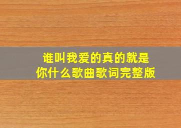 谁叫我爱的真的就是你什么歌曲歌词完整版