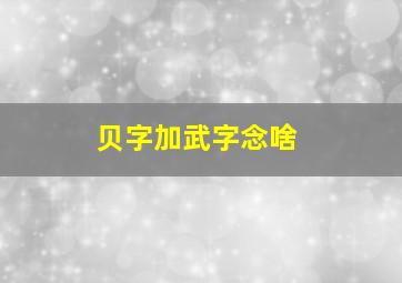 贝字加武字念啥