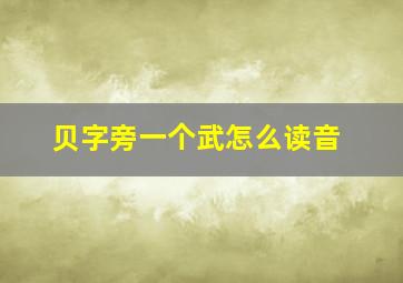 贝字旁一个武怎么读音