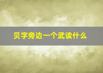 贝字旁边一个武读什么