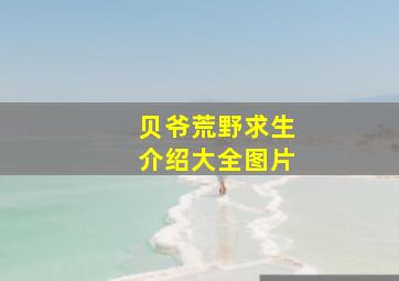 贝爷荒野求生介绍大全图片