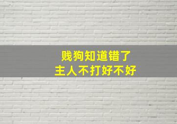 贱狗知道错了主人不打好不好