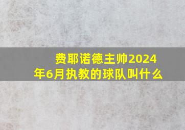 费耶诺德主帅2024年6月执教的球队叫什么