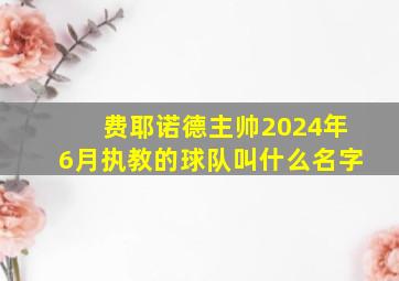 费耶诺德主帅2024年6月执教的球队叫什么名字