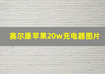 赛尔康苹果20w充电器图片