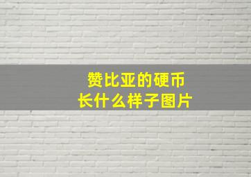 赞比亚的硬币长什么样子图片