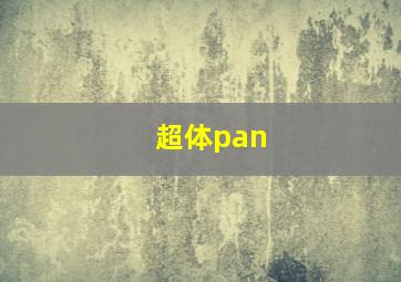 超体pan