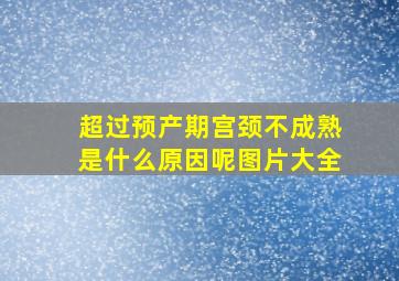 超过预产期宫颈不成熟是什么原因呢图片大全