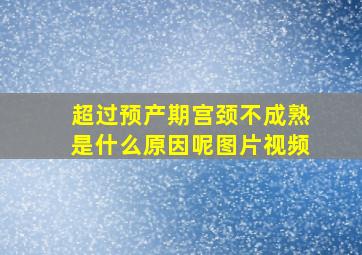 超过预产期宫颈不成熟是什么原因呢图片视频