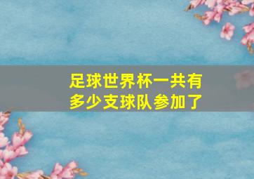 足球世界杯一共有多少支球队参加了