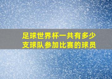 足球世界杯一共有多少支球队参加比赛的球员