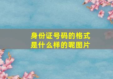 身份证号码的格式是什么样的呢图片