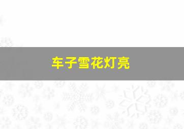 车子雪花灯亮