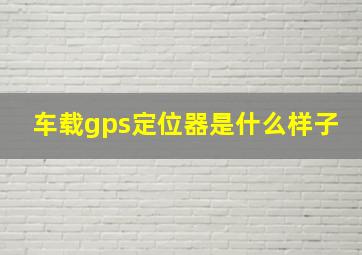 车载gps定位器是什么样子