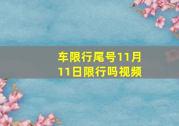 车限行尾号11月11日限行吗视频