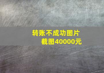 转账不成功图片截图40000元