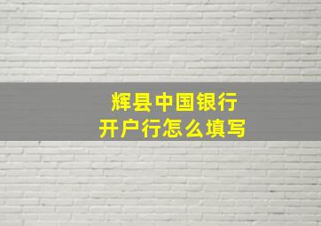 辉县中国银行开户行怎么填写