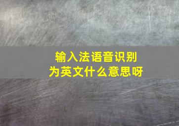 输入法语音识别为英文什么意思呀