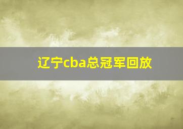 辽宁cba总冠军回放