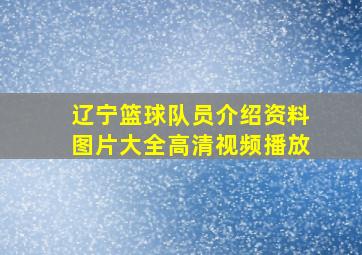 辽宁篮球队员介绍资料图片大全高清视频播放