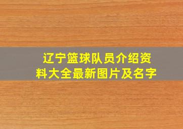 辽宁篮球队员介绍资料大全最新图片及名字