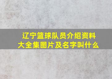 辽宁篮球队员介绍资料大全集图片及名字叫什么