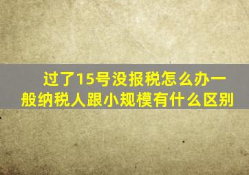 过了15号没报税怎么办一般纳税人跟小规模有什么区别