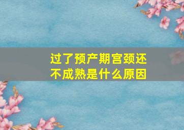 过了预产期宫颈还不成熟是什么原因