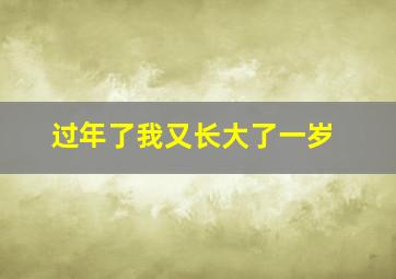 过年了我又长大了一岁