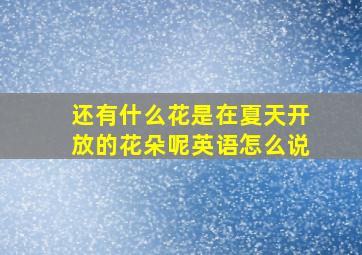 还有什么花是在夏天开放的花朵呢英语怎么说