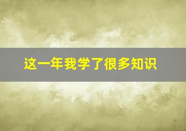 这一年我学了很多知识