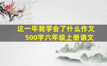 这一年我学会了什么作文500字六年级上册语文