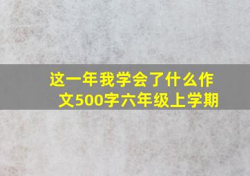 这一年我学会了什么作文500字六年级上学期