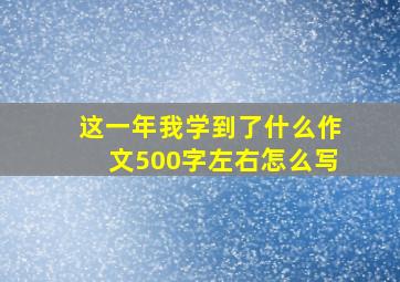 这一年我学到了什么作文500字左右怎么写