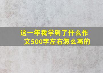 这一年我学到了什么作文500字左右怎么写的