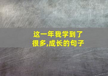 这一年我学到了很多,成长的句子