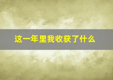 这一年里我收获了什么