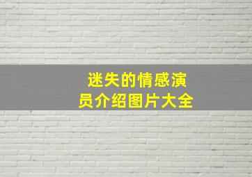 迷失的情感演员介绍图片大全