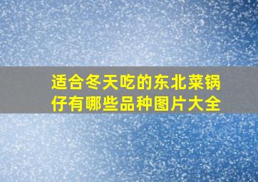 适合冬天吃的东北菜锅仔有哪些品种图片大全