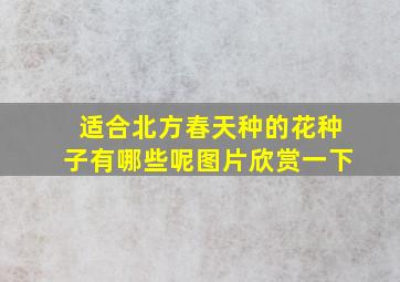 适合北方春天种的花种子有哪些呢图片欣赏一下