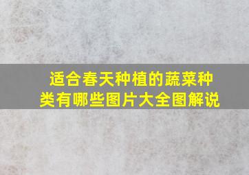 适合春天种植的蔬菜种类有哪些图片大全图解说