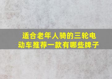 适合老年人骑的三轮电动车推荐一款有哪些牌子